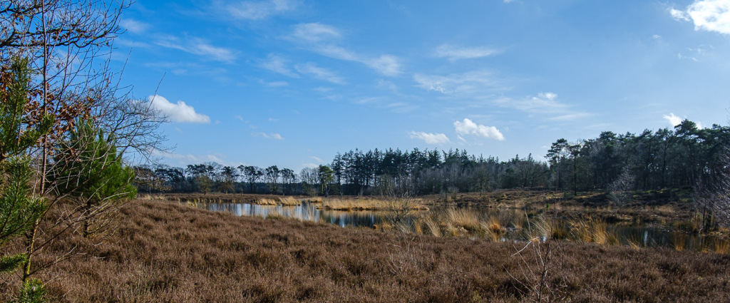 Week 8, wandelen