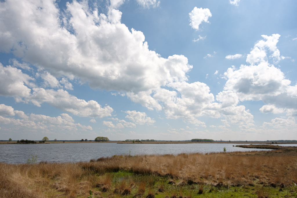 Week 17, Davidsplassen